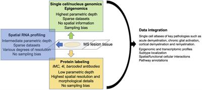 Astrocyte Heterogeneity in Multiple Sclerosis: Current Understanding and Technical Challenges